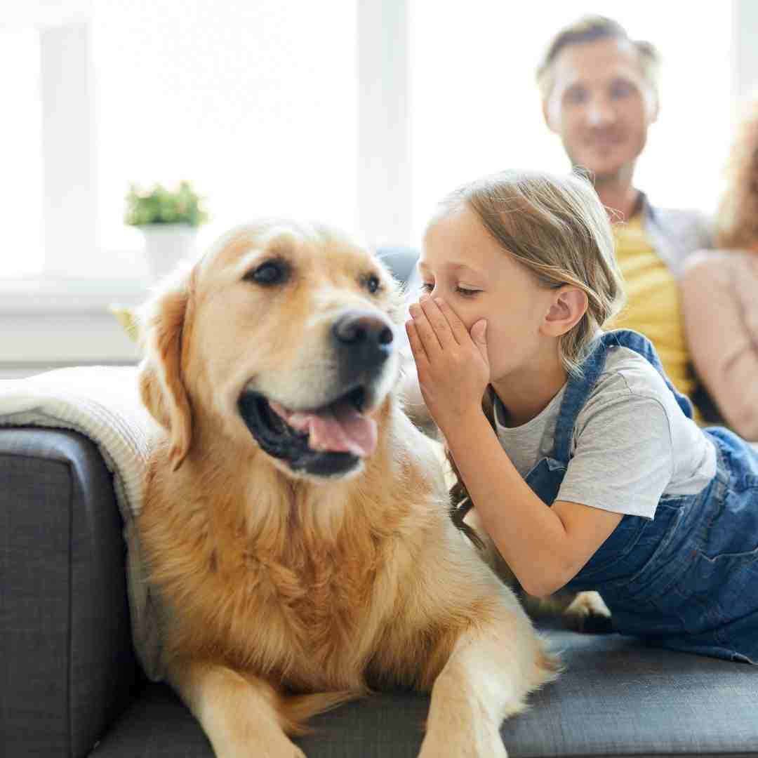 Little girl telling her dog a secret.